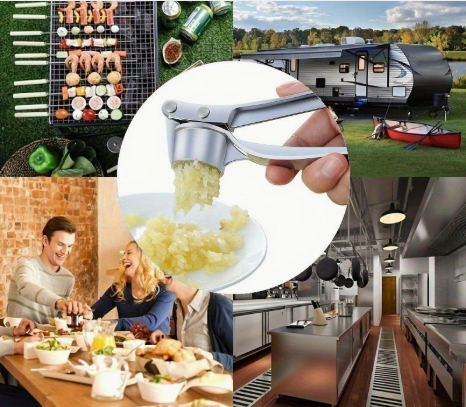 Stainless Steel Manual Garlic Press And Ginger Grinder — thumbnail 4